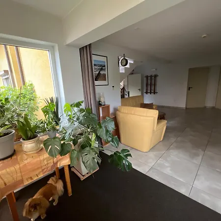 Alina Grzybowo (West Pomeranian)