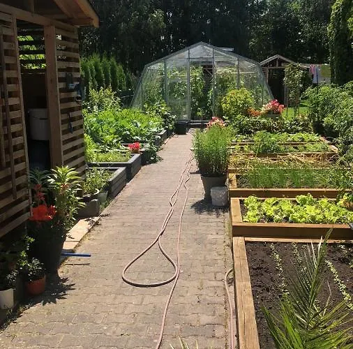 Alina Affittacamere 3*