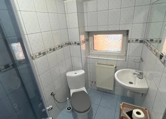 Affittacamere Alina 3*